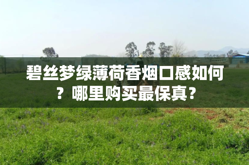 碧丝梦绿薄荷香烟口感如何？哪里购买最保真？